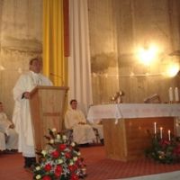 Bozic 2010