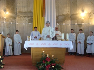 Bozic 2010